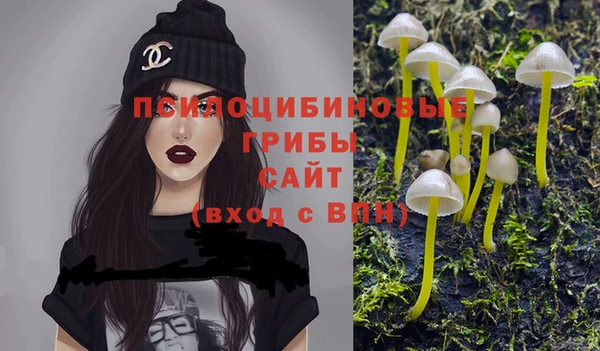 твердый Михайловка