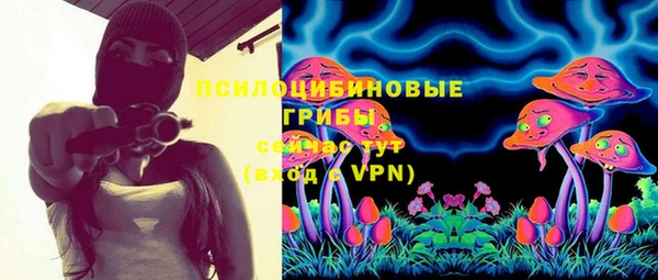 твердый Михайловка