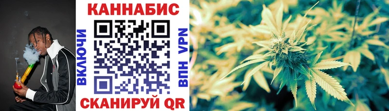 купить наркоту  Починок  Бошки марихуана план 